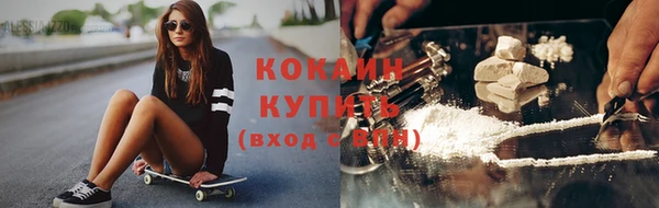 гашик Арсеньев