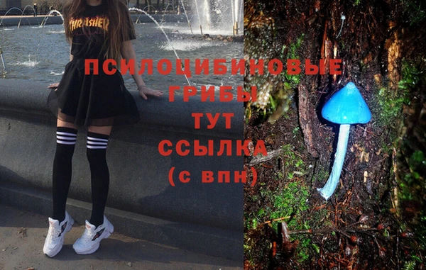 гашик Семикаракорск