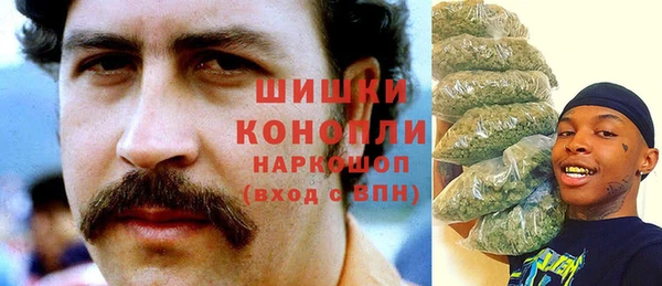 гашик Арсеньев