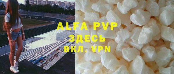 гашик Арсеньев