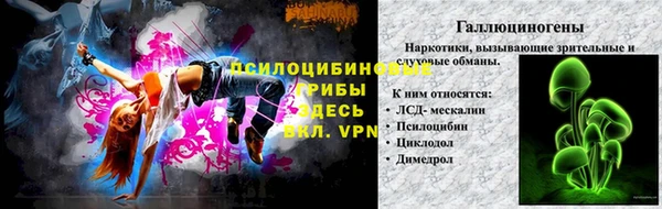 гашик Арсеньев