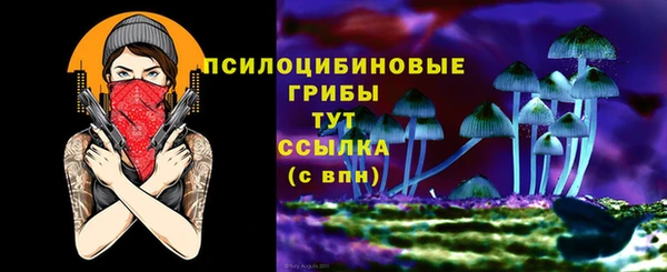 гашик Арсеньев