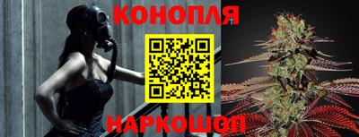 сатива Наро-Фоминск