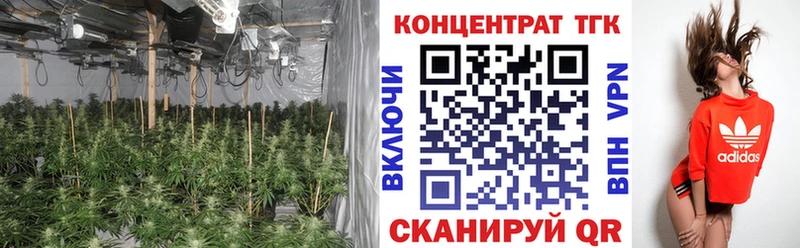 ТГК гашишное масло  Балтийск 