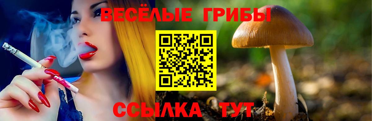 Псилоцибиновые грибы мицелий Балтийск